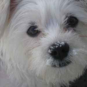 Meet your Posher, Mary ann